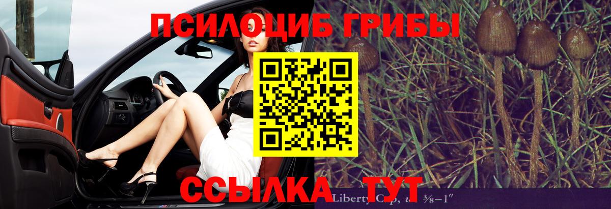 МЕФ Нефтекумск